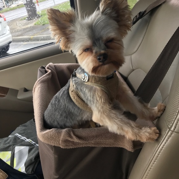 Meet your Posher, Jessica - Picture 1 of 1